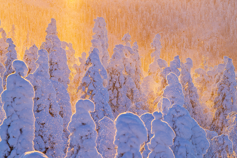Valtavaara, Kuusamo, Finland