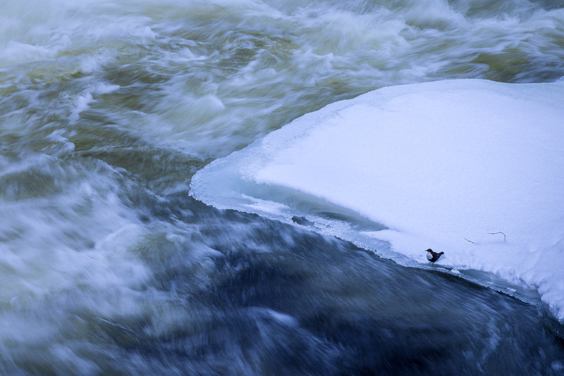 Oulanka, Kuusamo, Finland